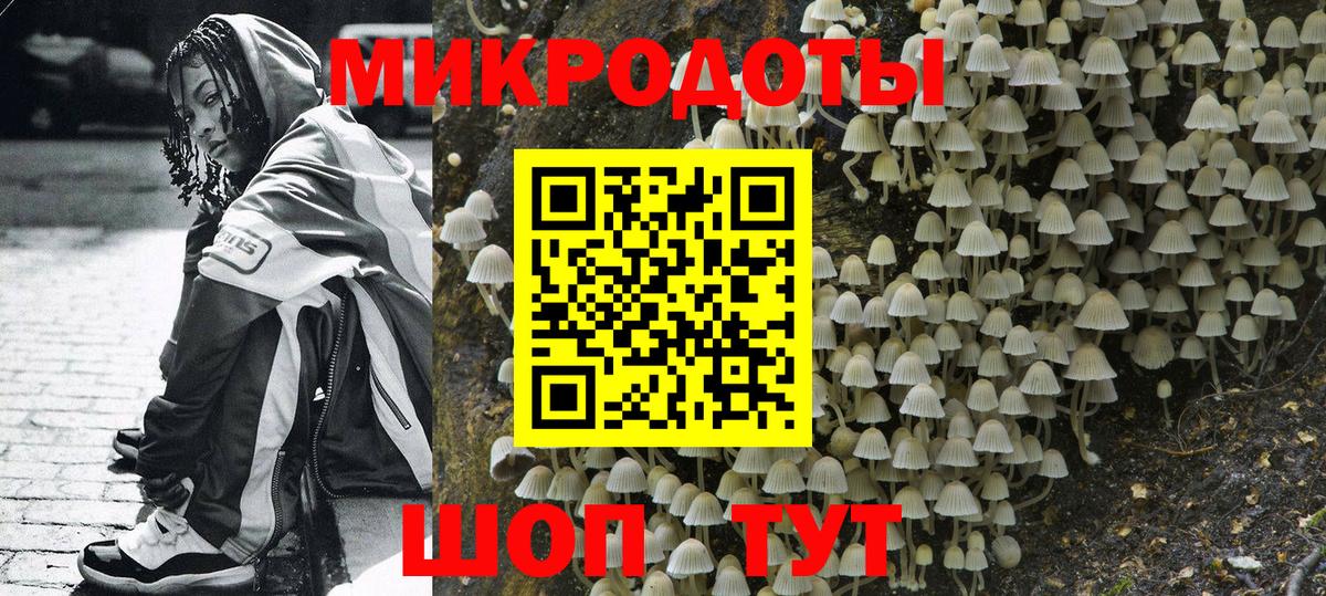 Псилоцибиновые грибы Cubensis Люберцы