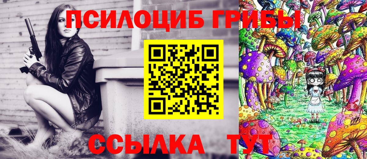 купить наркотик  Вход с VPN  Люберцы  Псилоцибиновые грибы MAGIC MUSHROOMS 
